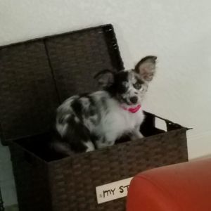 Meet your Posher, Jan